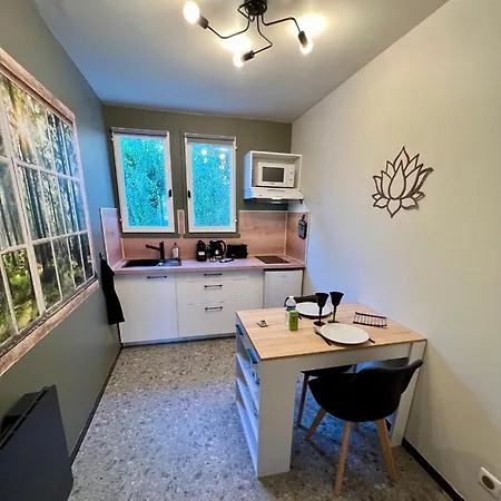 Apartamento Cocon Proche Chu-Emailleurs Limoges Exterior foto